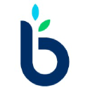 Company Logo for Businessloans.com