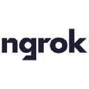 Company Logo for ngrok